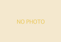 NO PHOTO